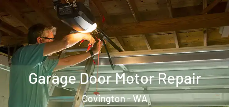  Garage Door Motor Repair Covington - WA