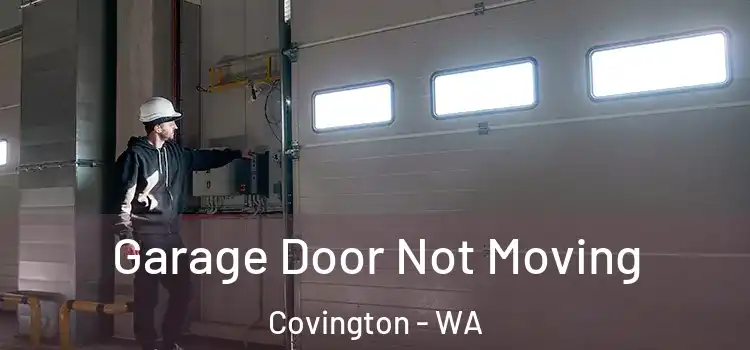  Garage Door Not Moving Covington - WA