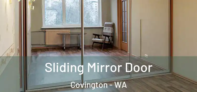  Sliding Mirror Door Covington - WA